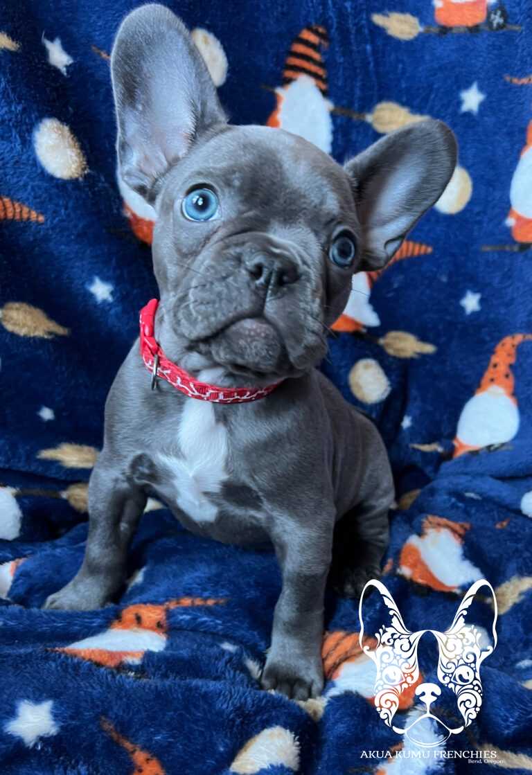 Malina 8 wks (3)