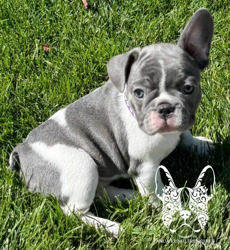 B3E09E54-024C-4E2A-BF8C-2E45A4F3DCE1